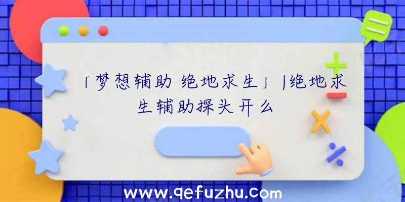 「梦想辅助